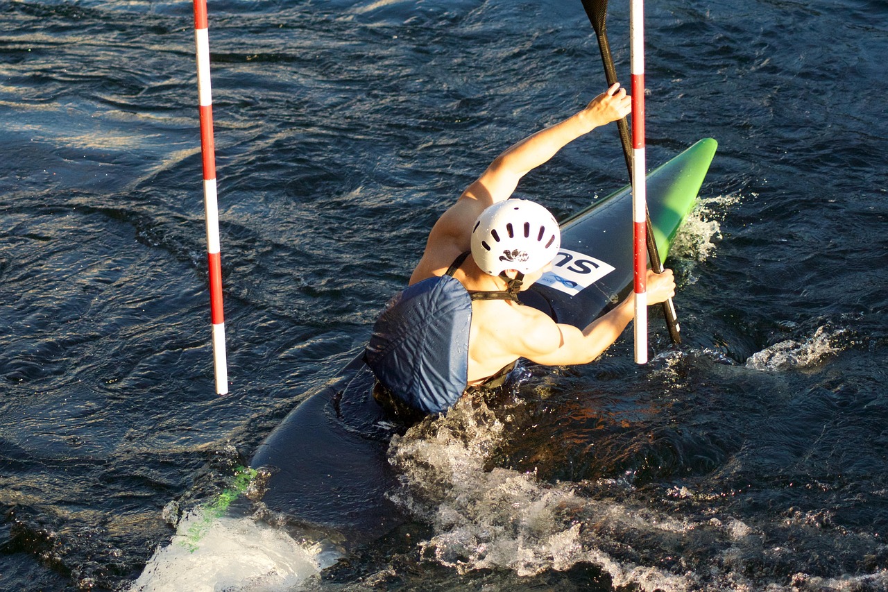 羽绒行情最新动态及深度分析