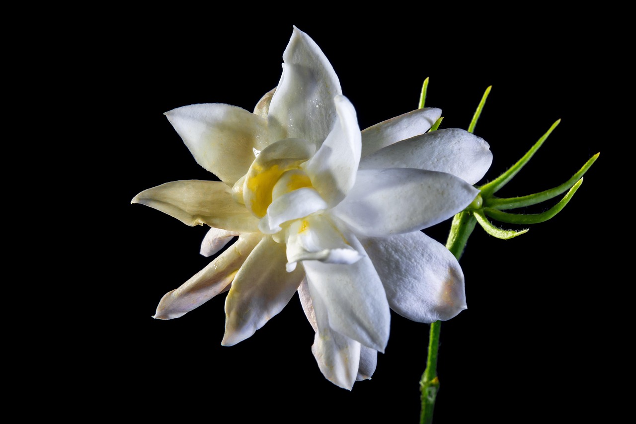 榕江最新招聘动态,职业发展的新天地,榕江招聘火热进行中