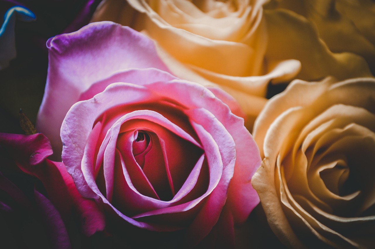 动漫情头之美,令人陶醉的瞬间