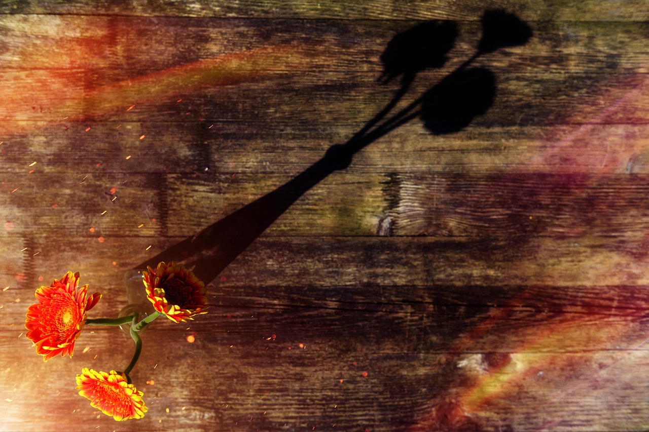 明日花最新力作,探索艺术边界的无限可能