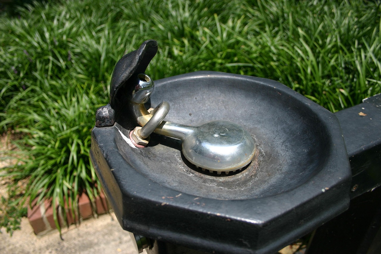 探索顺昌新动态,领略城市风采的新鲜资讯