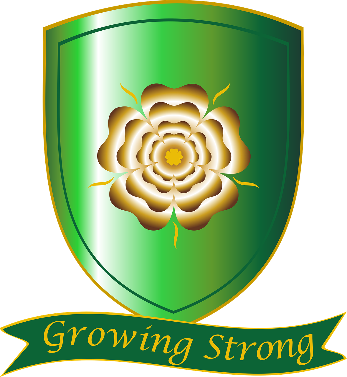 吉凤新区发展势头强劲,创新活力四溢的最新动态