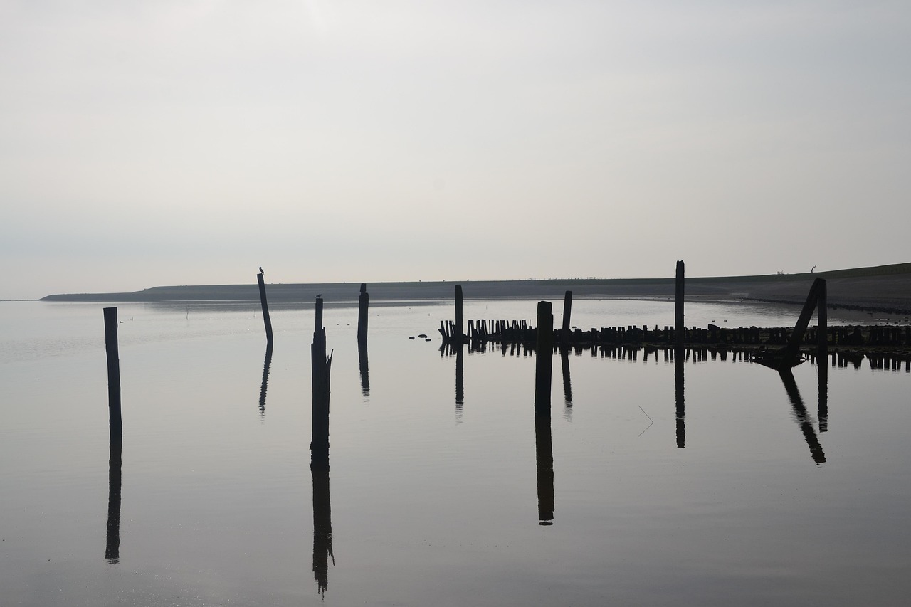 四川盛马迈向新时代的卓越发展之路最新动态