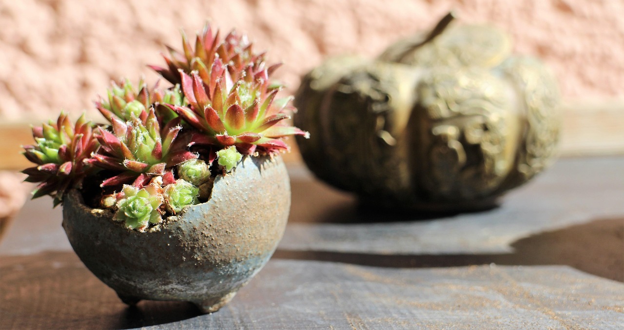 安科生物最新动态官网文章更新速递