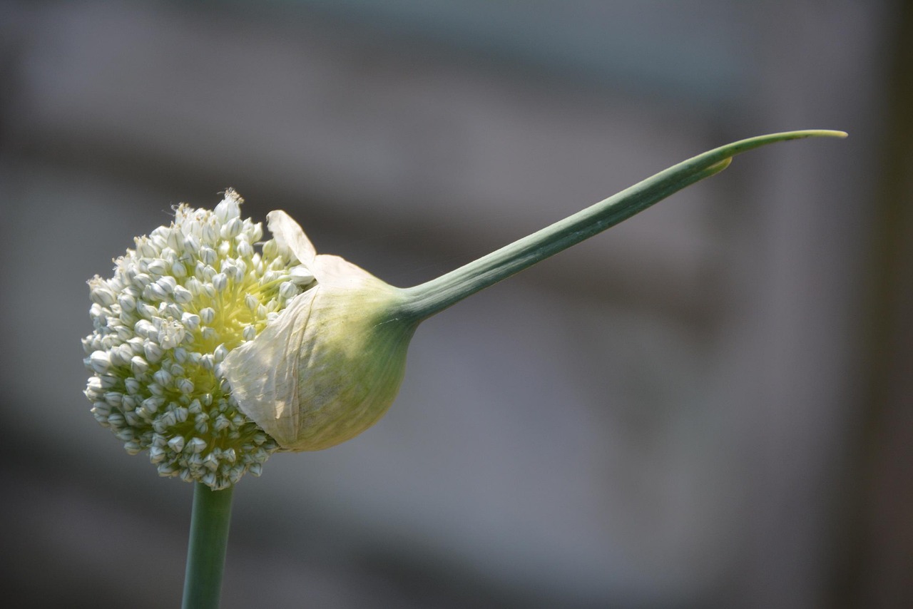 安科生物最新动态官网文章更新速递