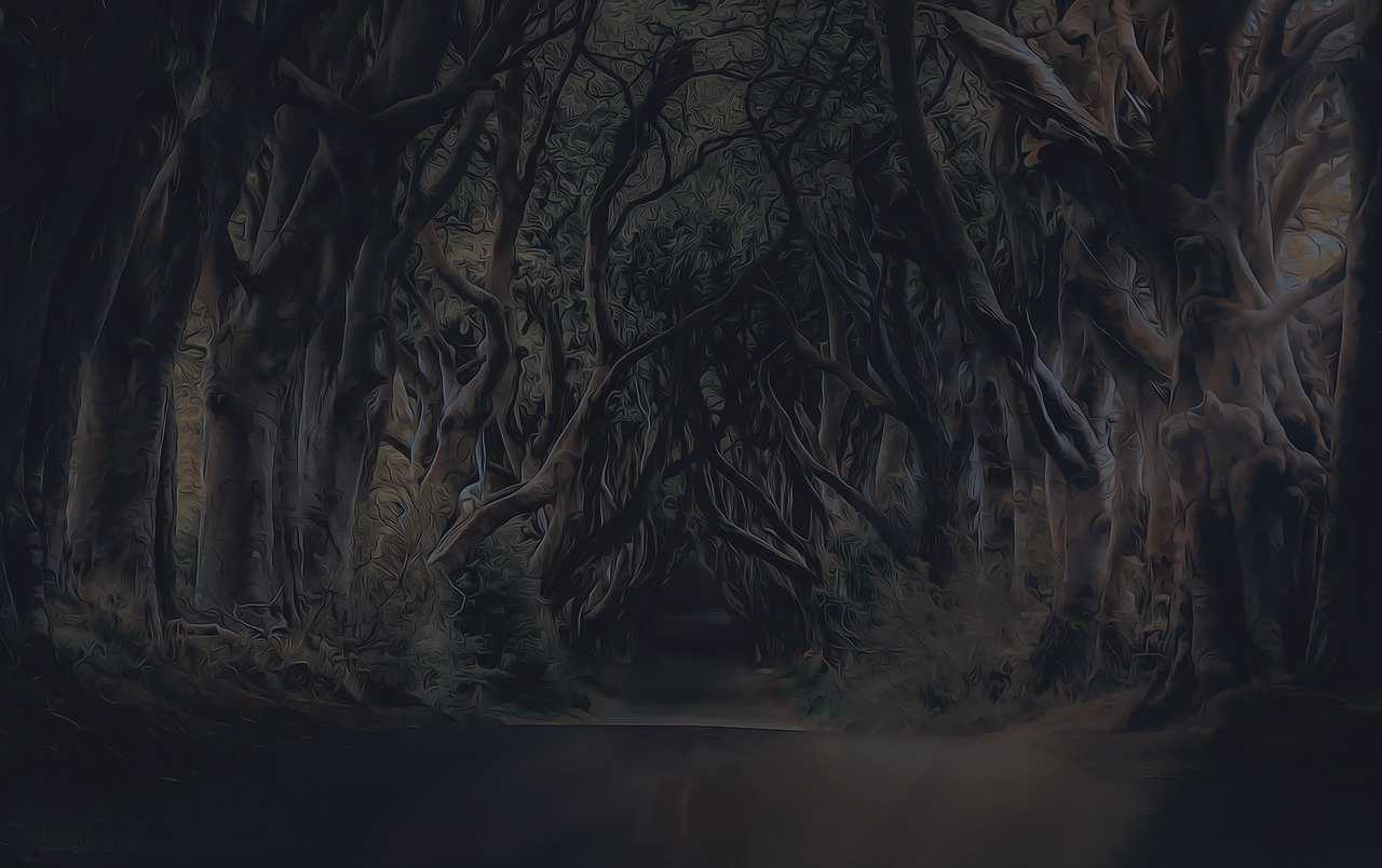 电视剧中的权力游戏与人性探索,强取豪夺的探秘之旅