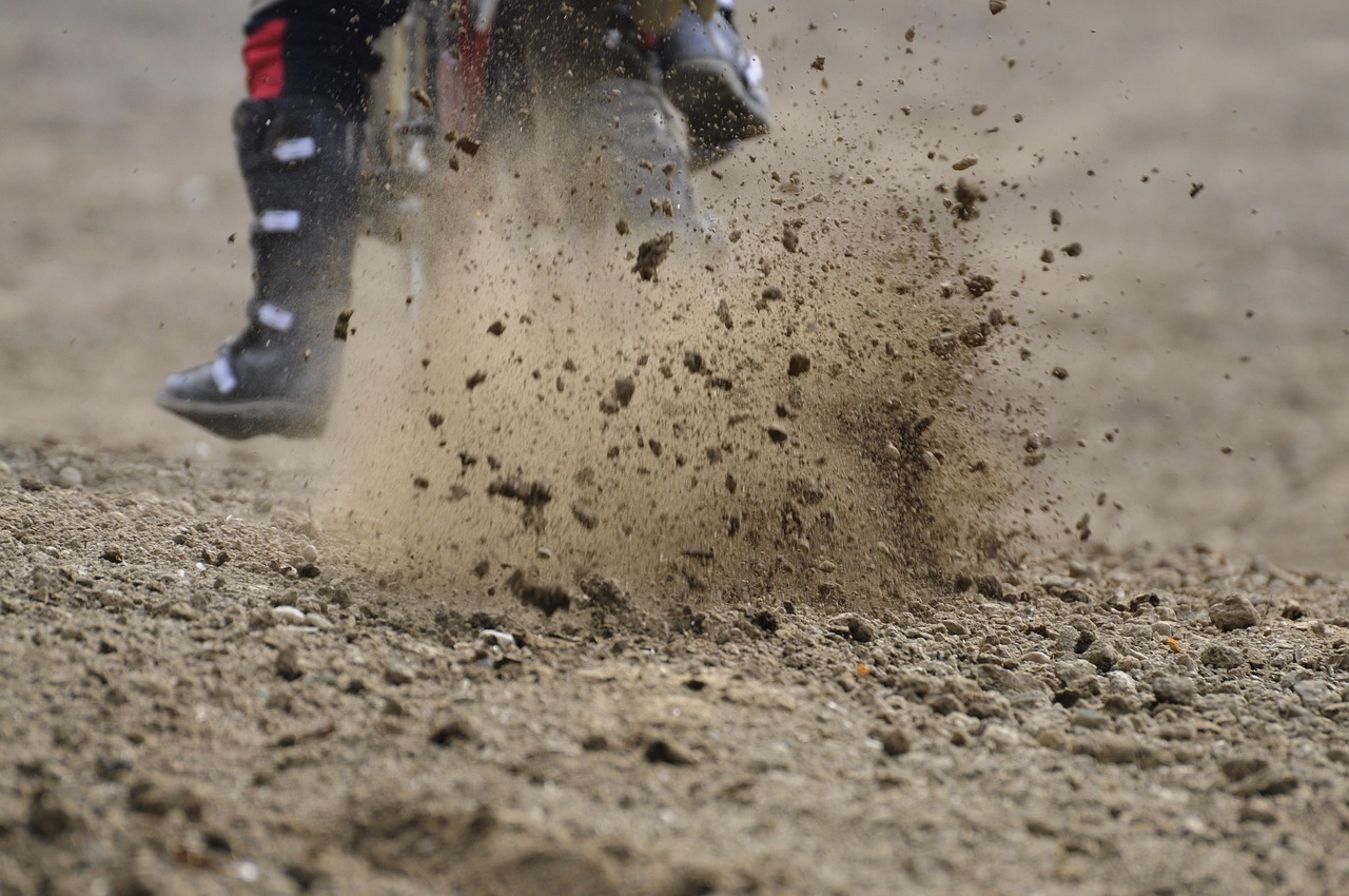 新赛股份最新动态全面解析