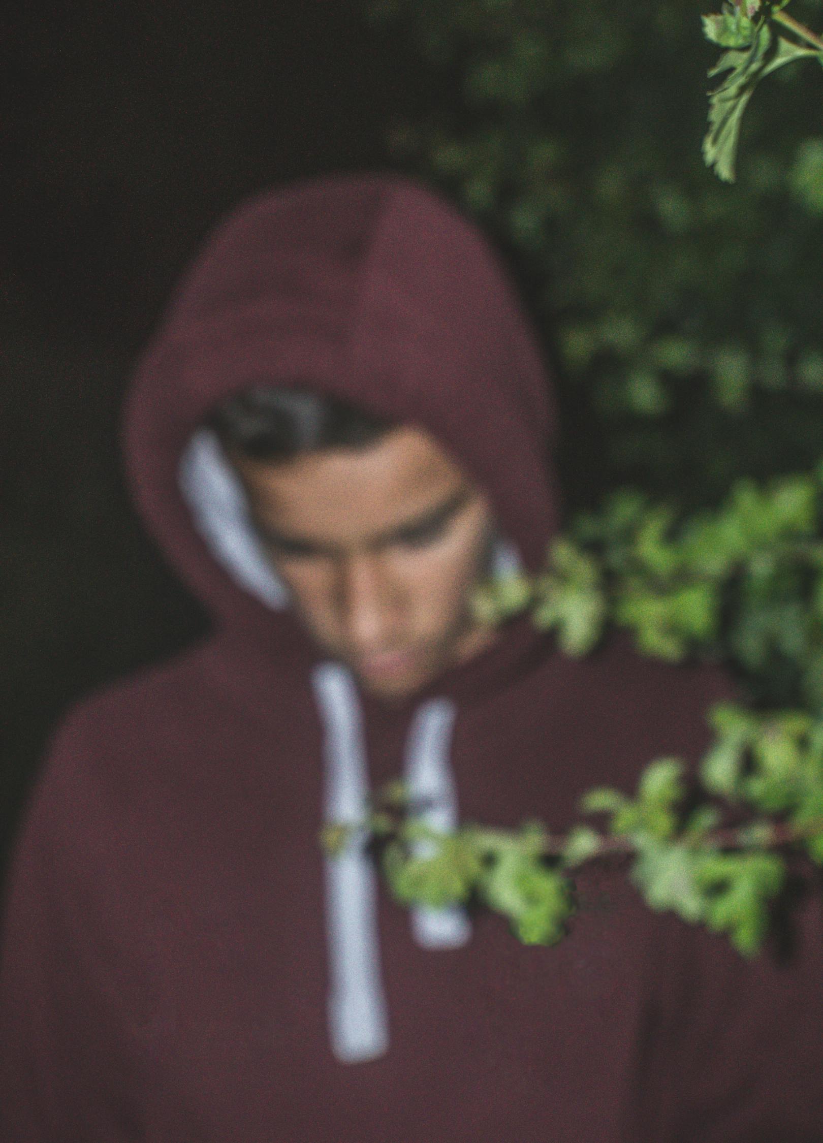 卡罗尔电影,跨越时空的情感探索之旅