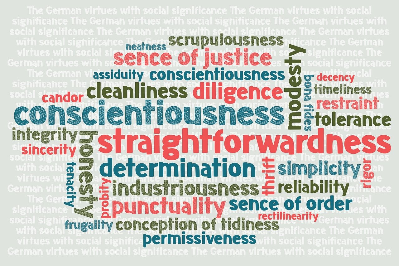 我真的是大明星小说概述或书评