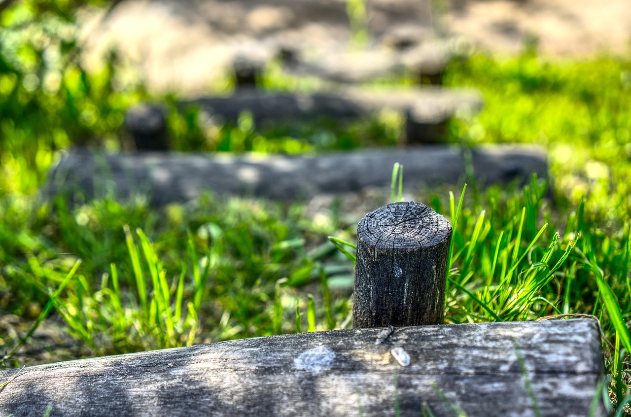 张杰2017年音乐之旅全新篇章,最新动态揭秘!