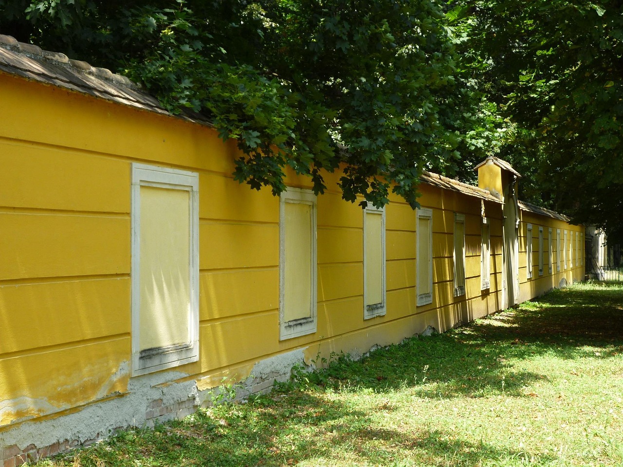 张扁高速最新进展报告更新,最新动态与进展概述