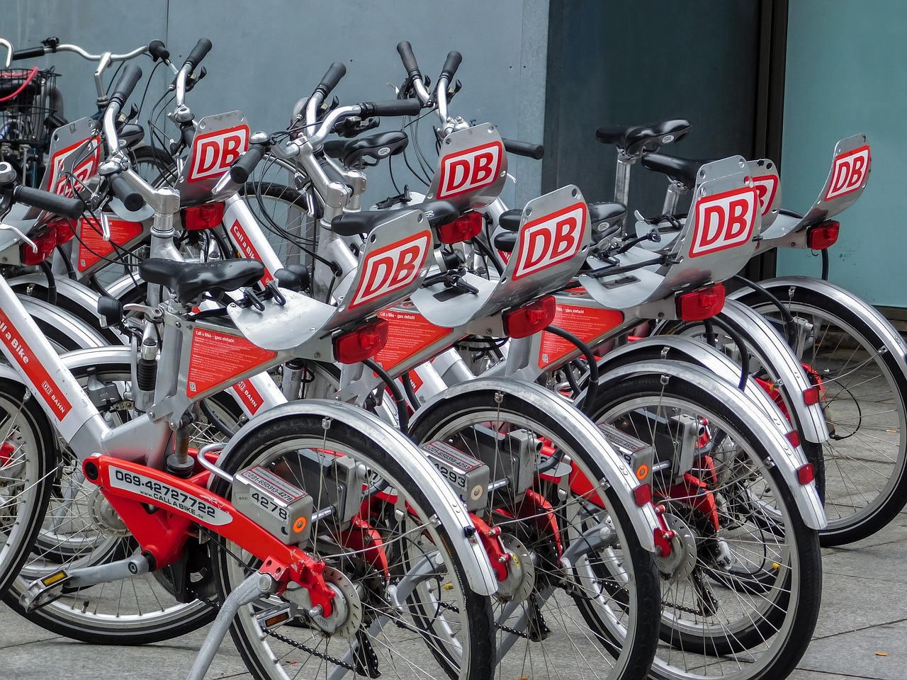 动感单车价格概览,市场分析、购买指南全攻略