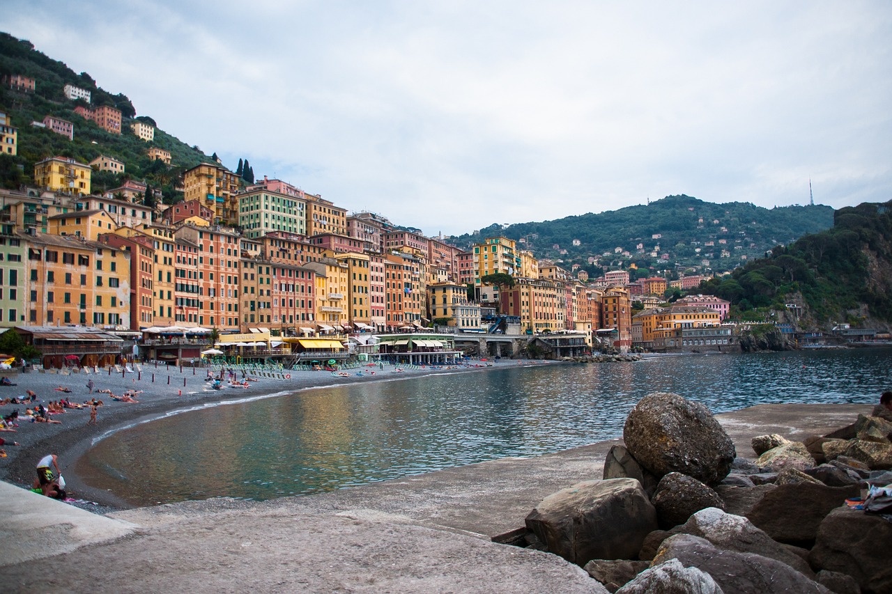 河北玉米最新价格及动态分析概述