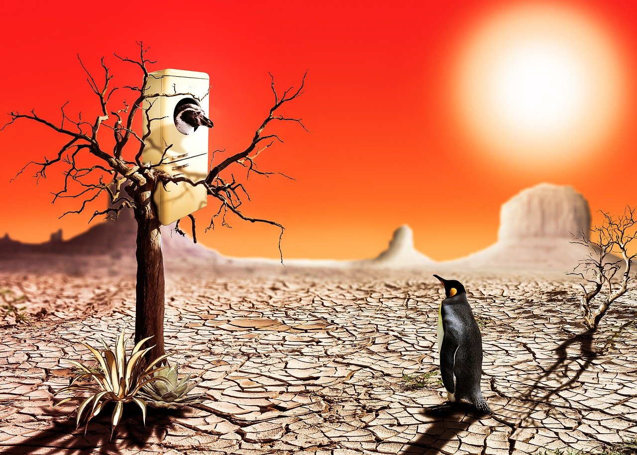 三级午夜电影的探索与反思