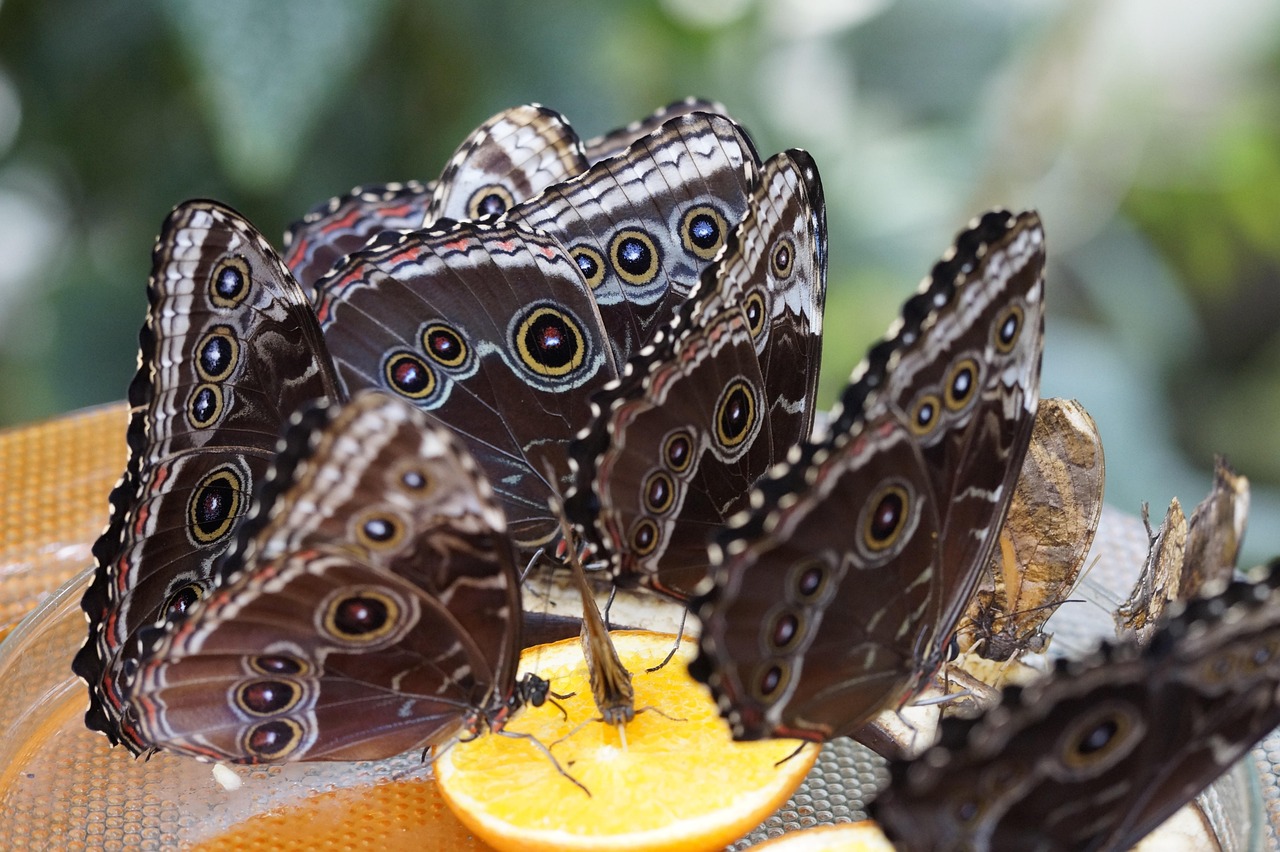 火力前线最新动态揭示未来战争形态新趋势展望