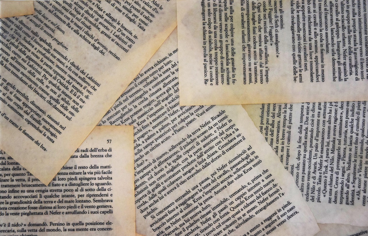 辞海最新内容概览,探索知识的宝库