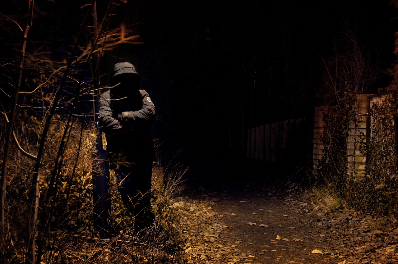 德伯家的苔丝,悲剧与超越的艺术展现的电影诠释