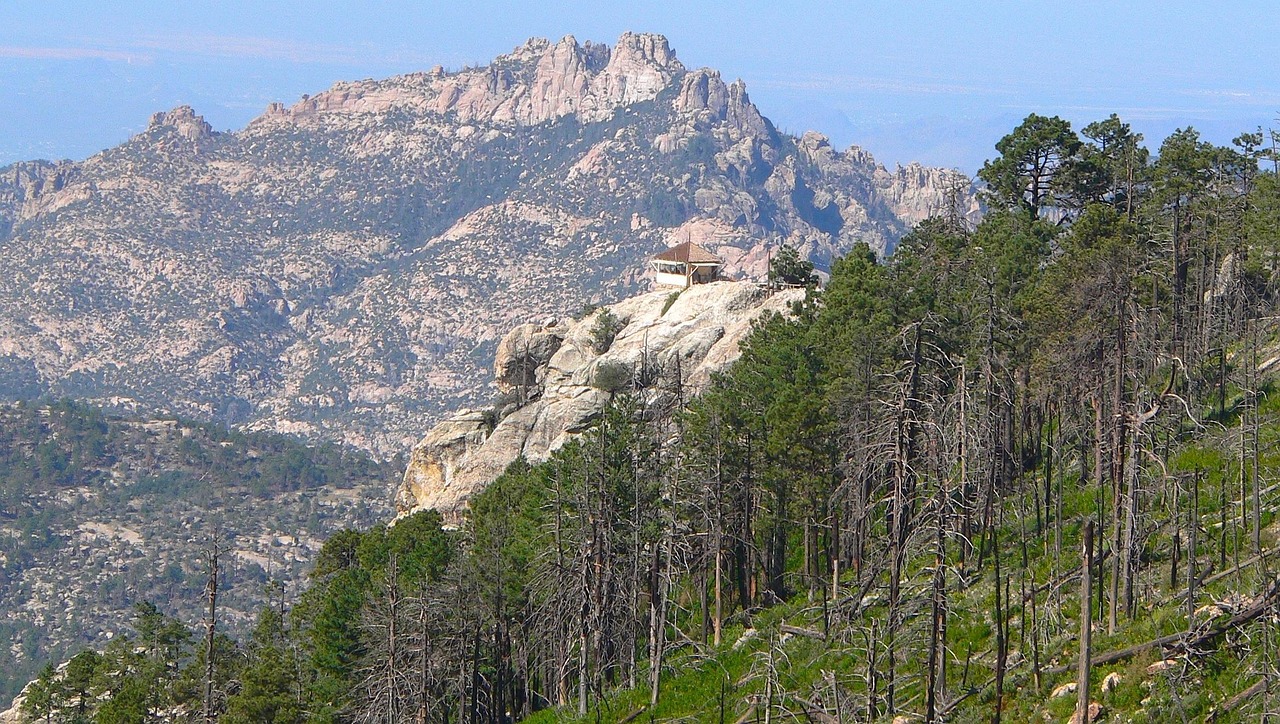 遂溪下六兴哥最新动态，先锋力量引领地方发展之路