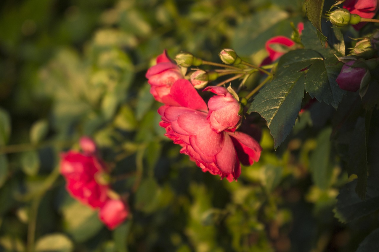 江苏省人事任免最新动态揭秘,全面解读最新人事调整与变动趋势