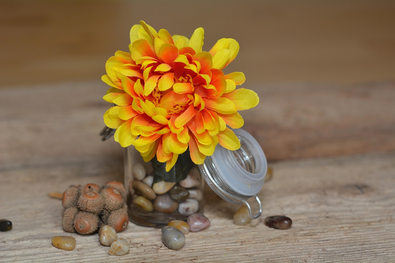 艺术与匠心,插花比赛的绚烂之作