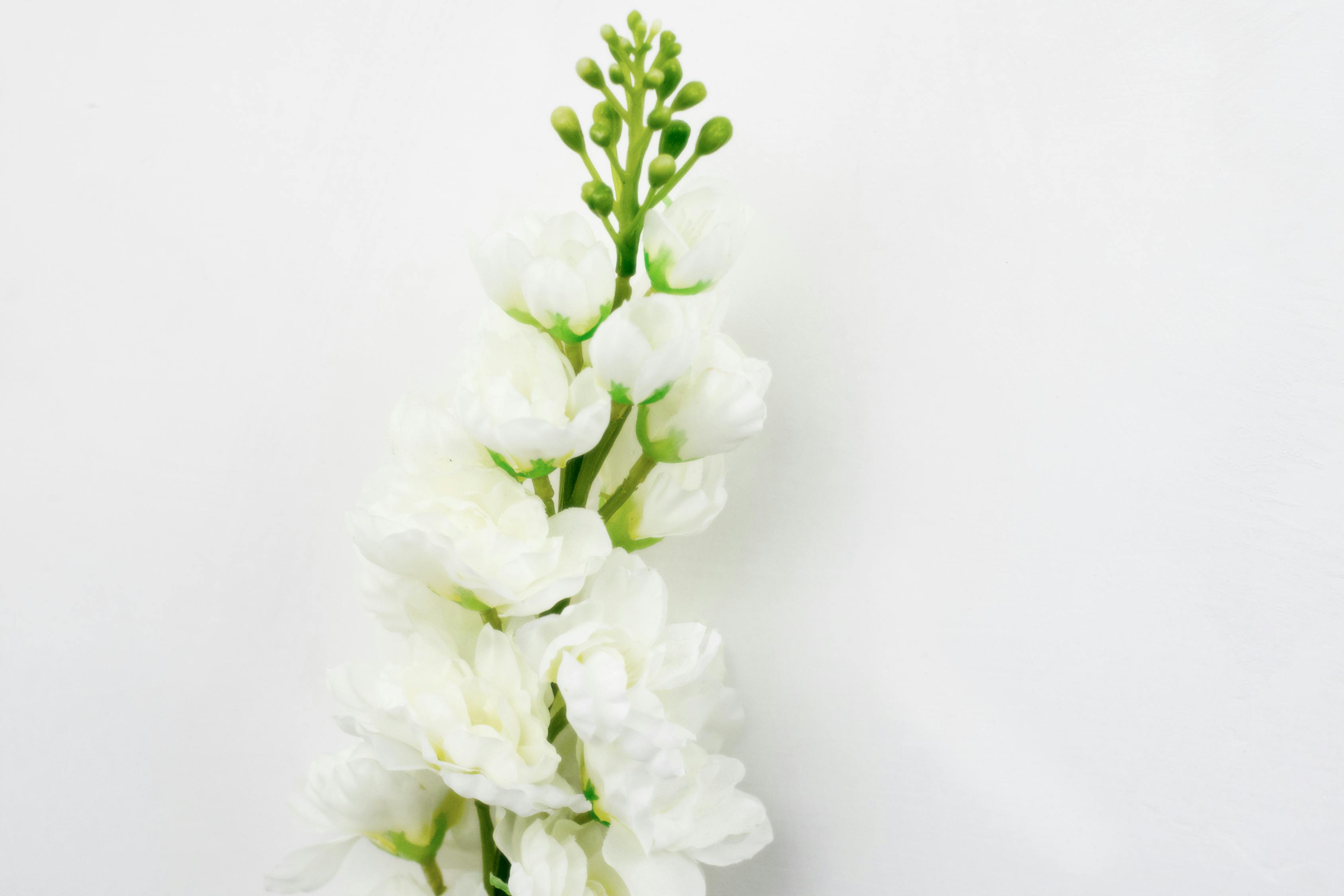 水晶光电股价最新动态,市场走势解析与未来展望