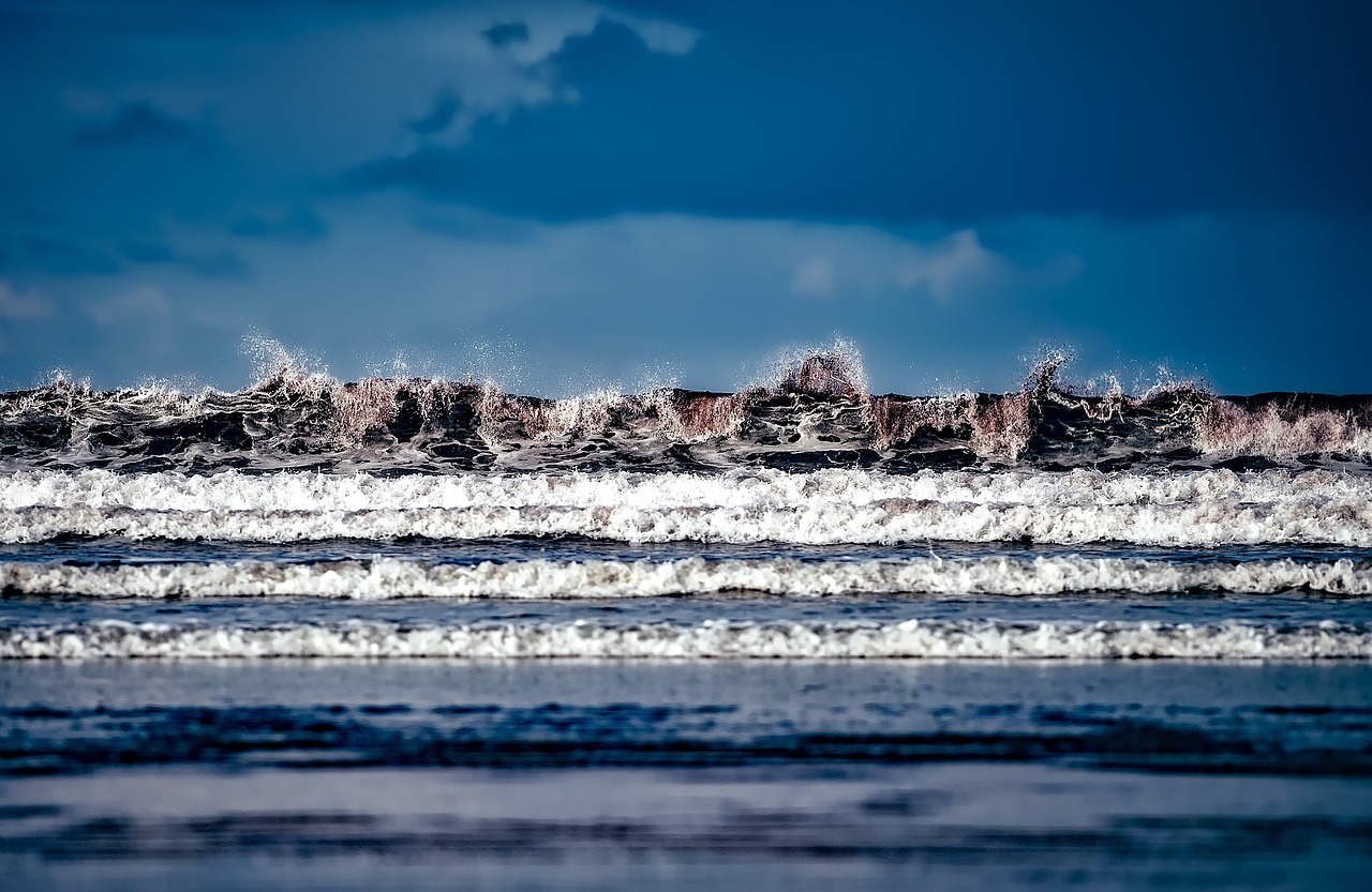 义乌童昌茂，探索发展与创新之路的最新动态