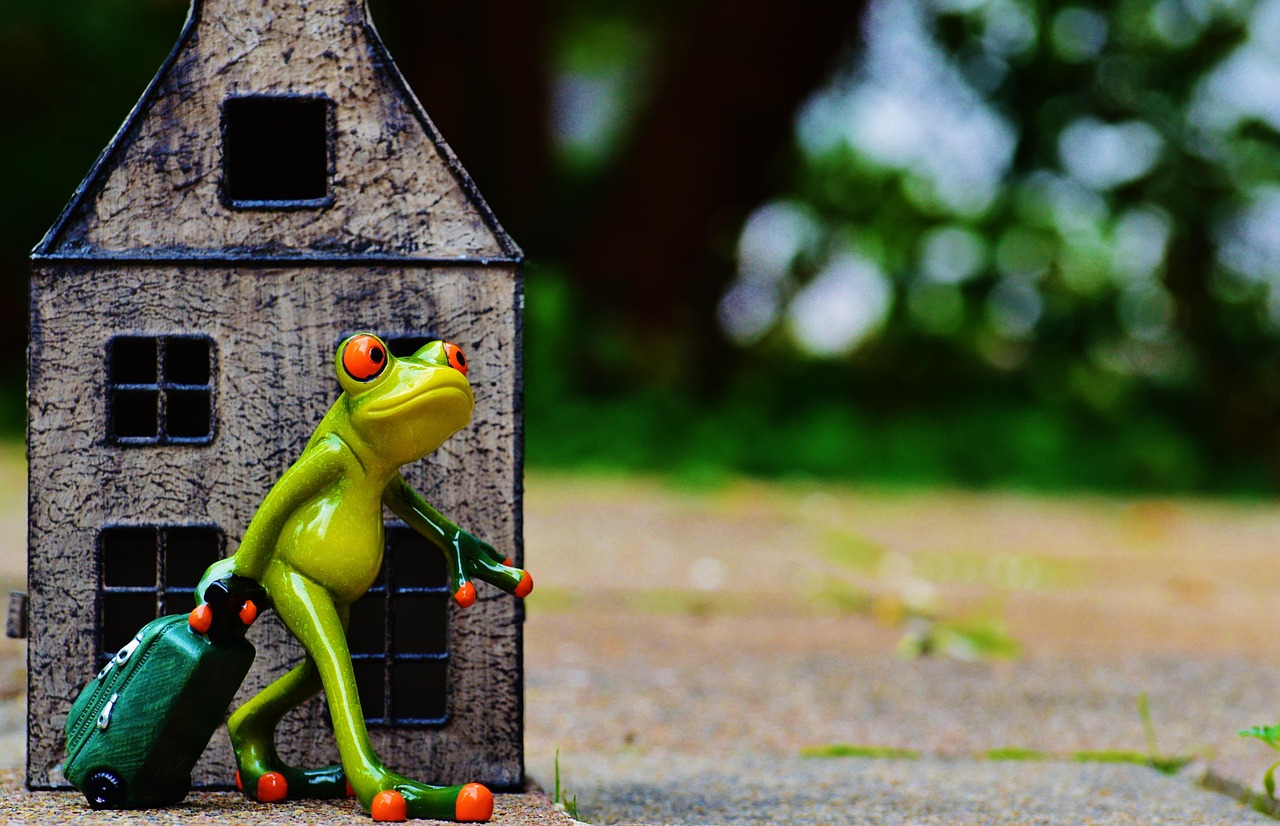 上厕所比赛的乐趣与深思