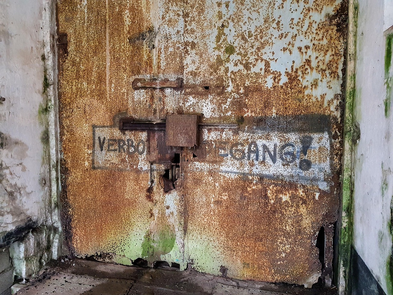 全球军事最新动态揭秘,国际军事视频前沿报道