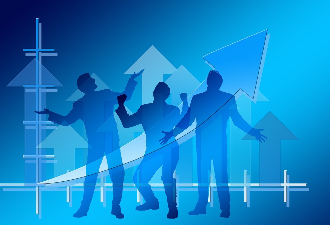 金乡蒜薹最新价格动态及行情分析