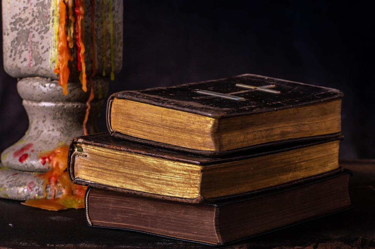 九寨县地震最新动态，救援进展、影响评估与实时更新