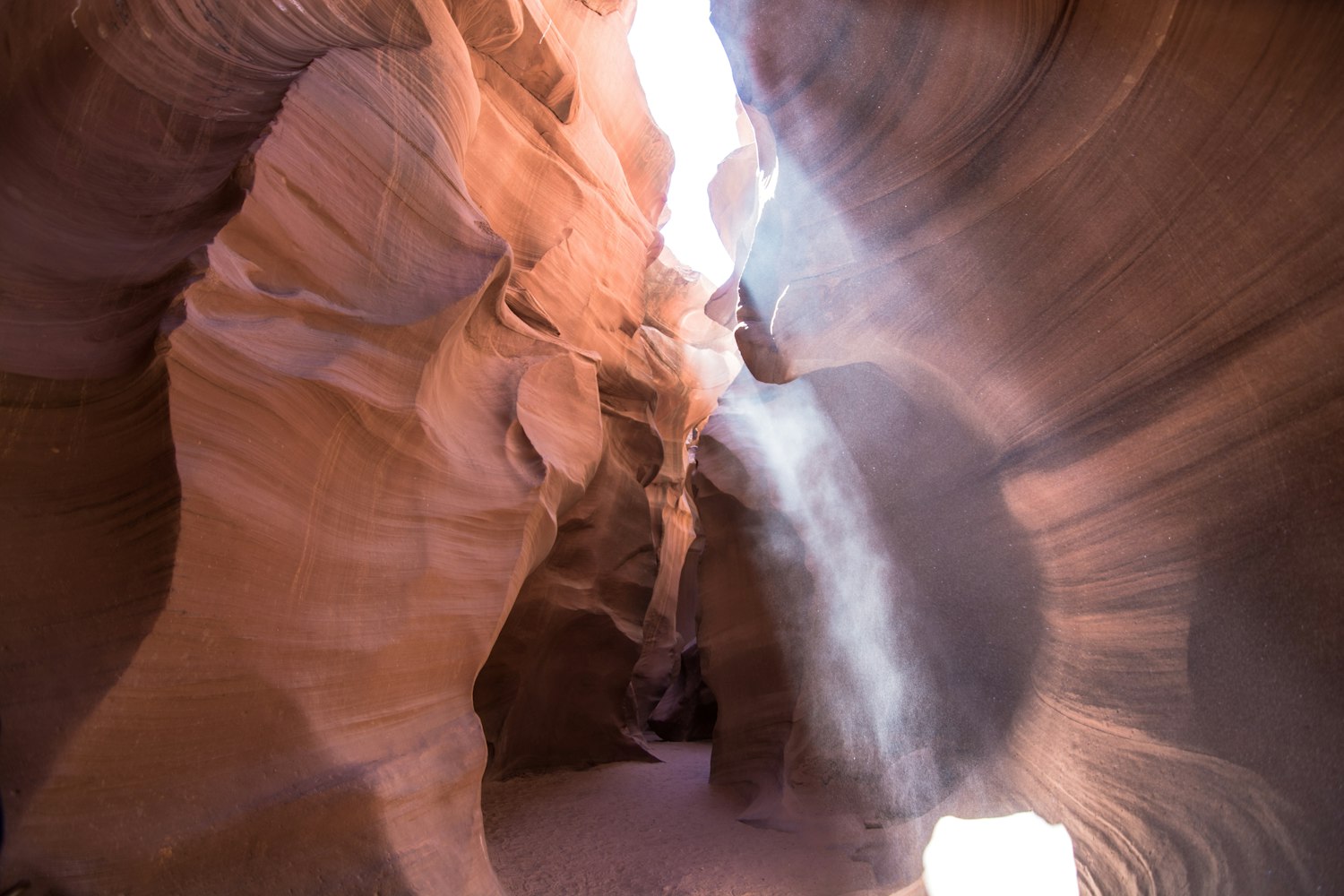 芭蕾舞演员脚部变形背后的艺术代价探索