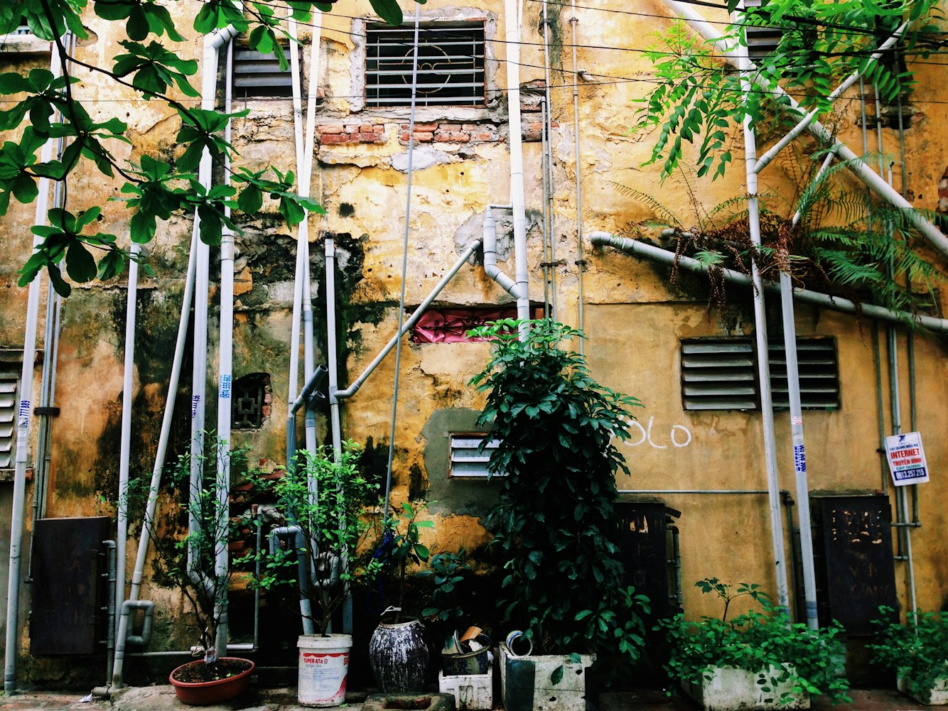 最新归乡之旅,重访故乡,感受情感与变迁的交织