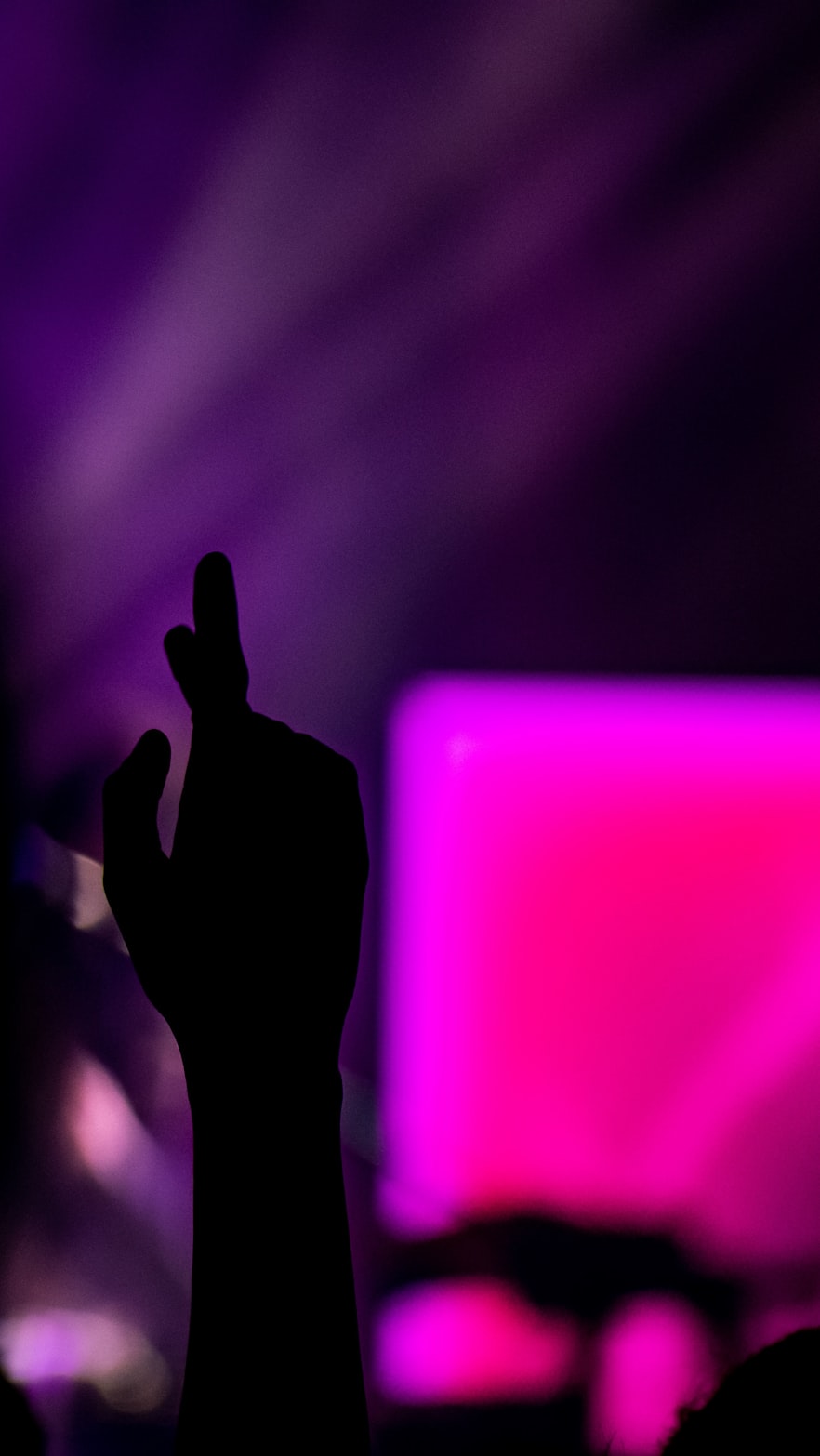 舞台之星，明星演员的多彩人生画卷