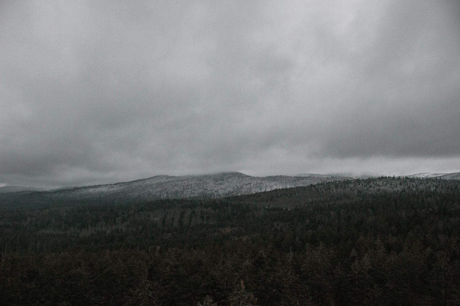 徐州2017年楼盘最新资讯概览与动态分析