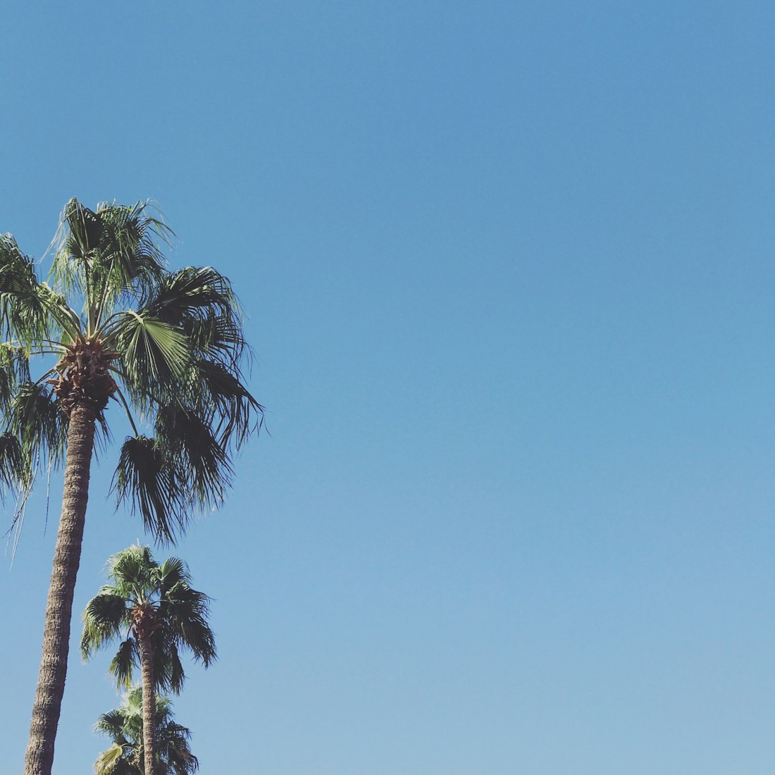 武汉最新疫情动态,全面应对,共筑防线