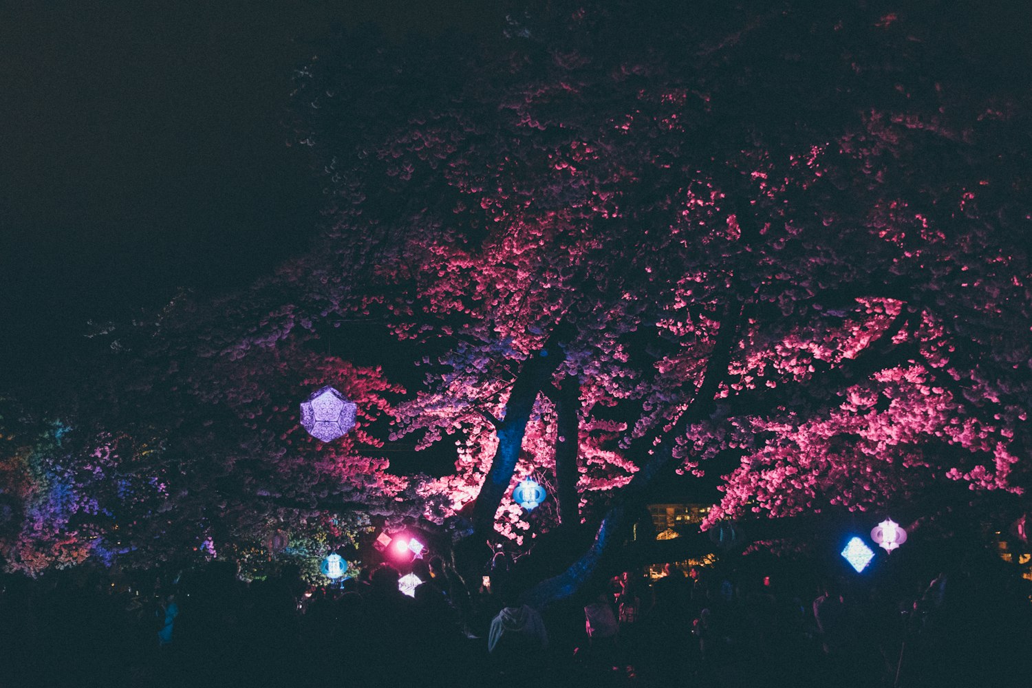 动漫女王头像,魅力与流行的完美融合