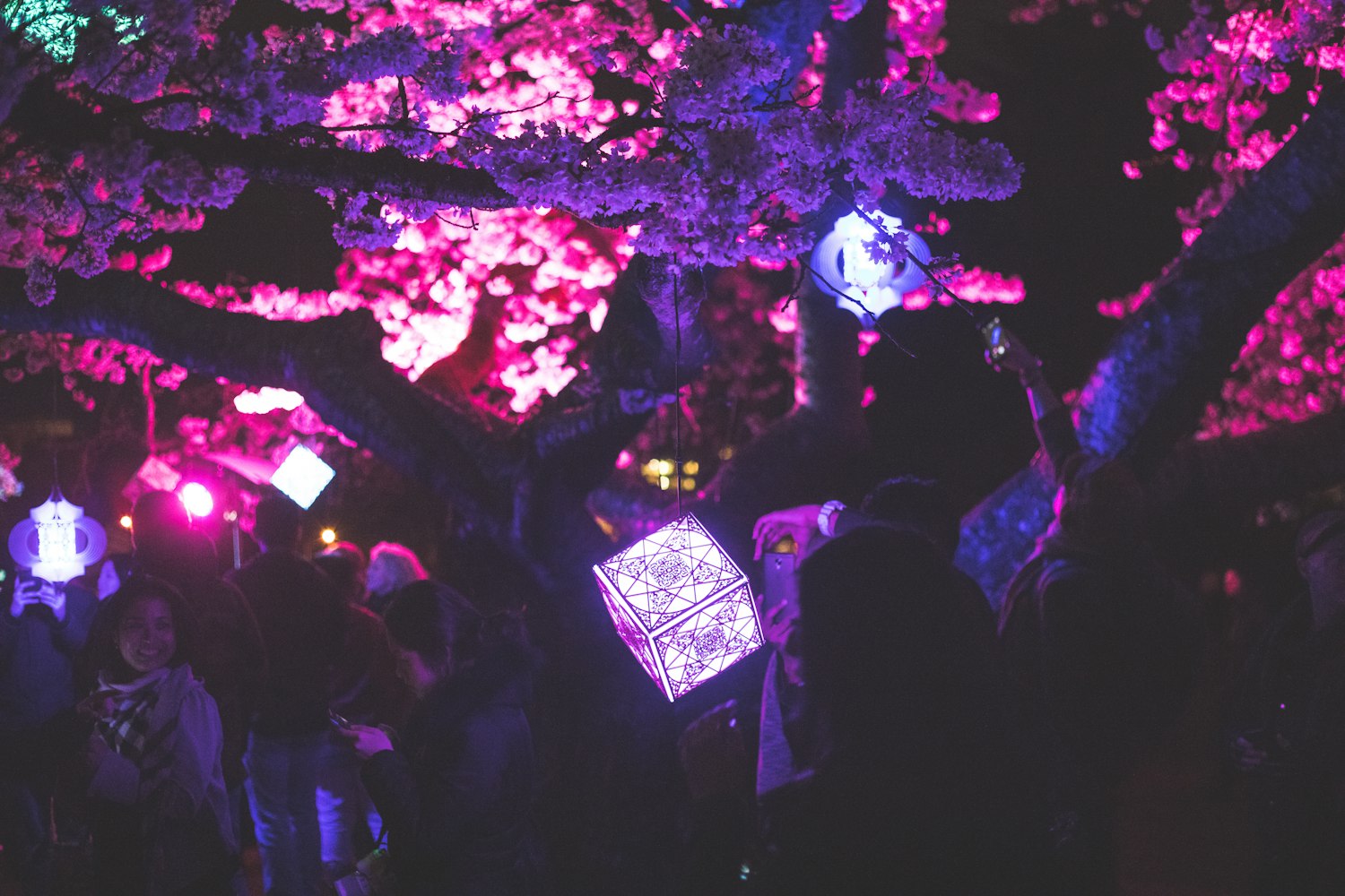 动漫女王头像,魅力与流行的完美融合