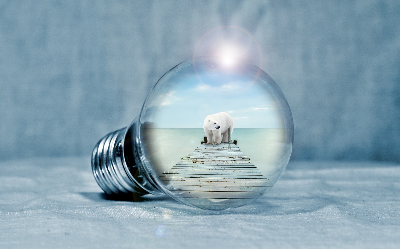 菜百黄金今日价格揭秘,黄金市场动态与投资者心态分析