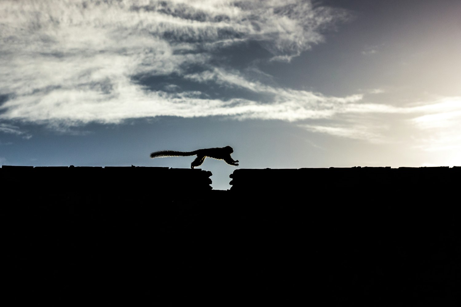 颠覆传统重塑影像艺术，与众不同的电影探索