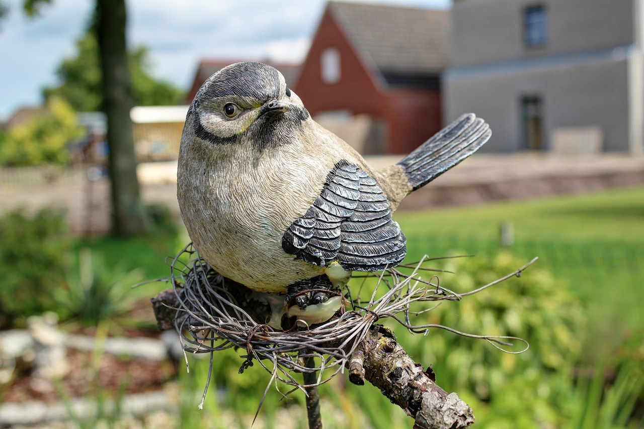 北京疫情最新进展报告更新,最新动态与进展汇总