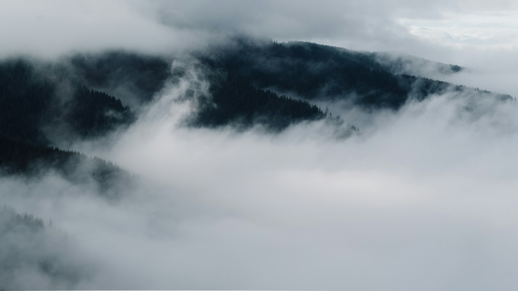 魂牵梦绕的幸福 第2页