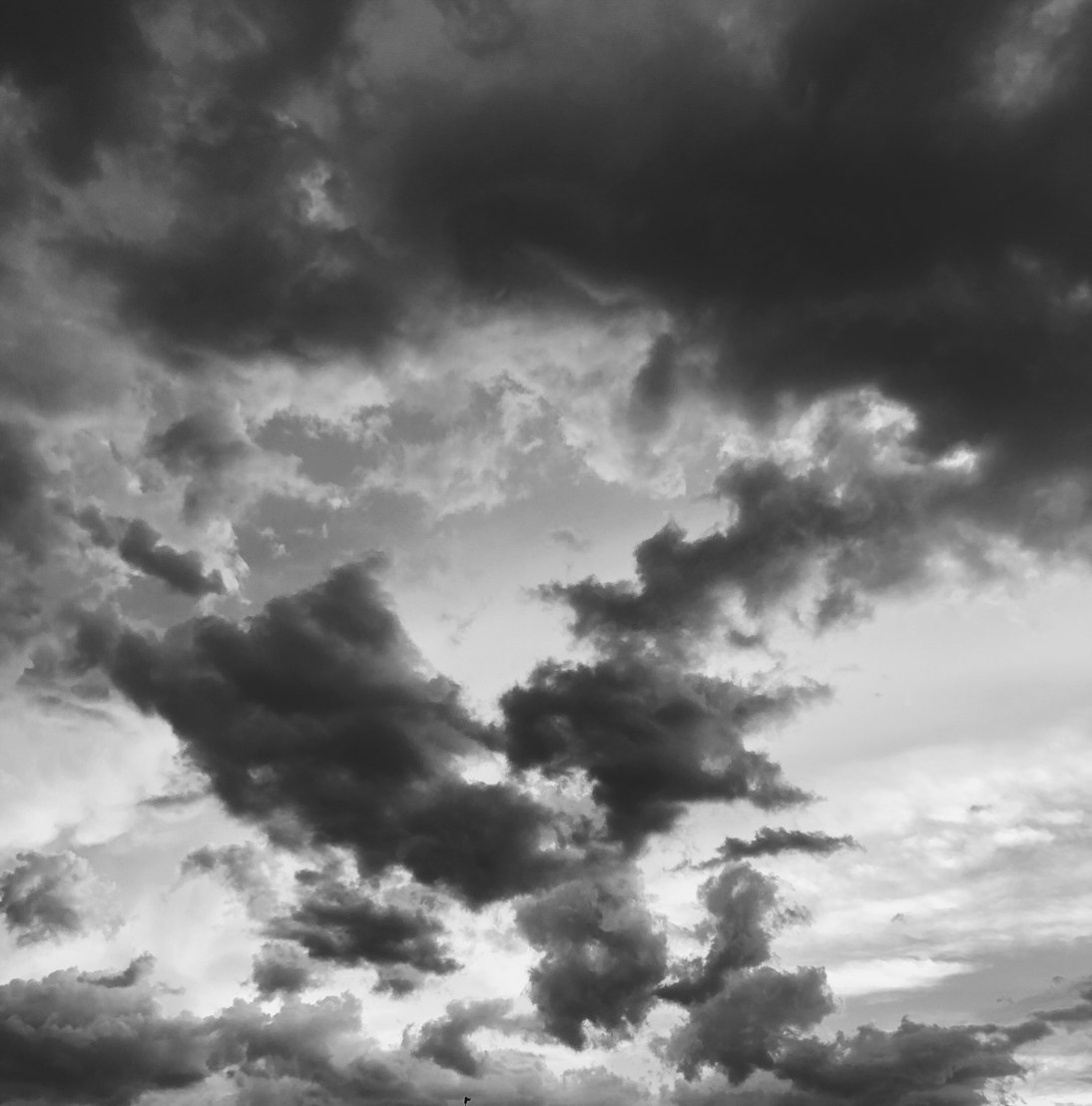 探索未知世界的无限可能,最新天的启示