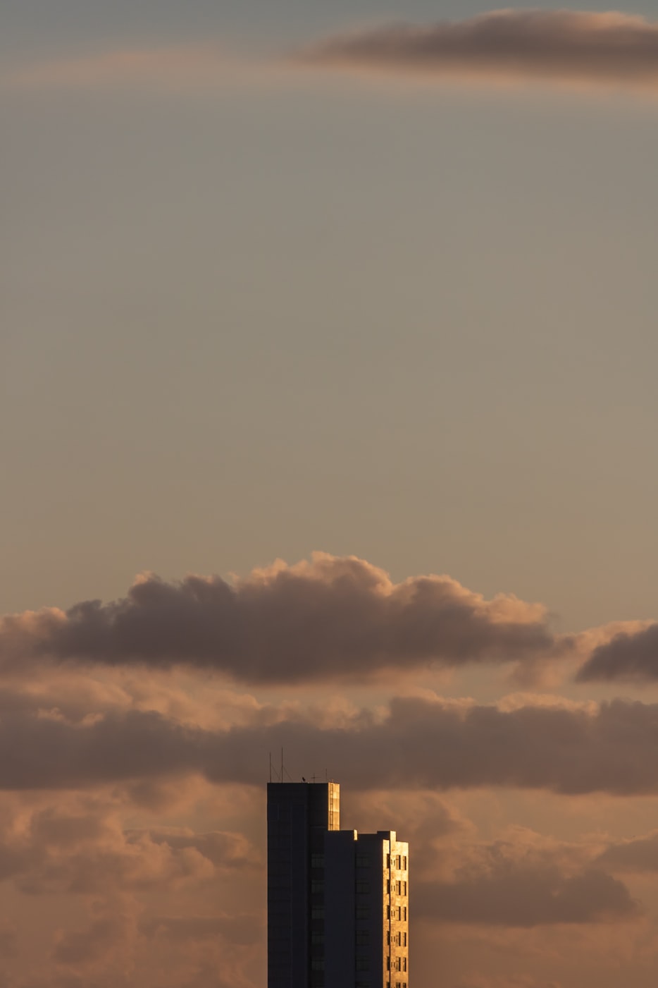 探索未知世界的无限可能,最新天的启示