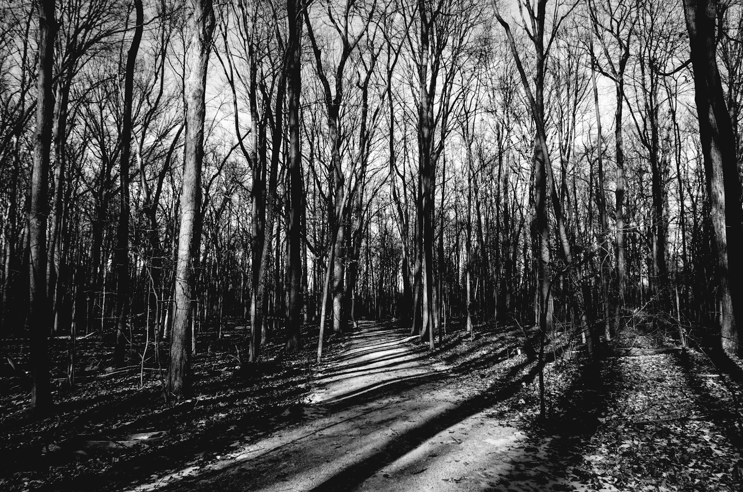 魇世界新篇,未知领域的奇幻探险之旅