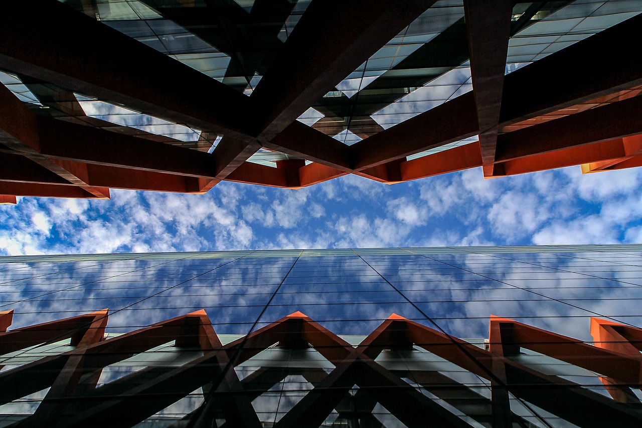 赖木芳的最新动态与成就概述