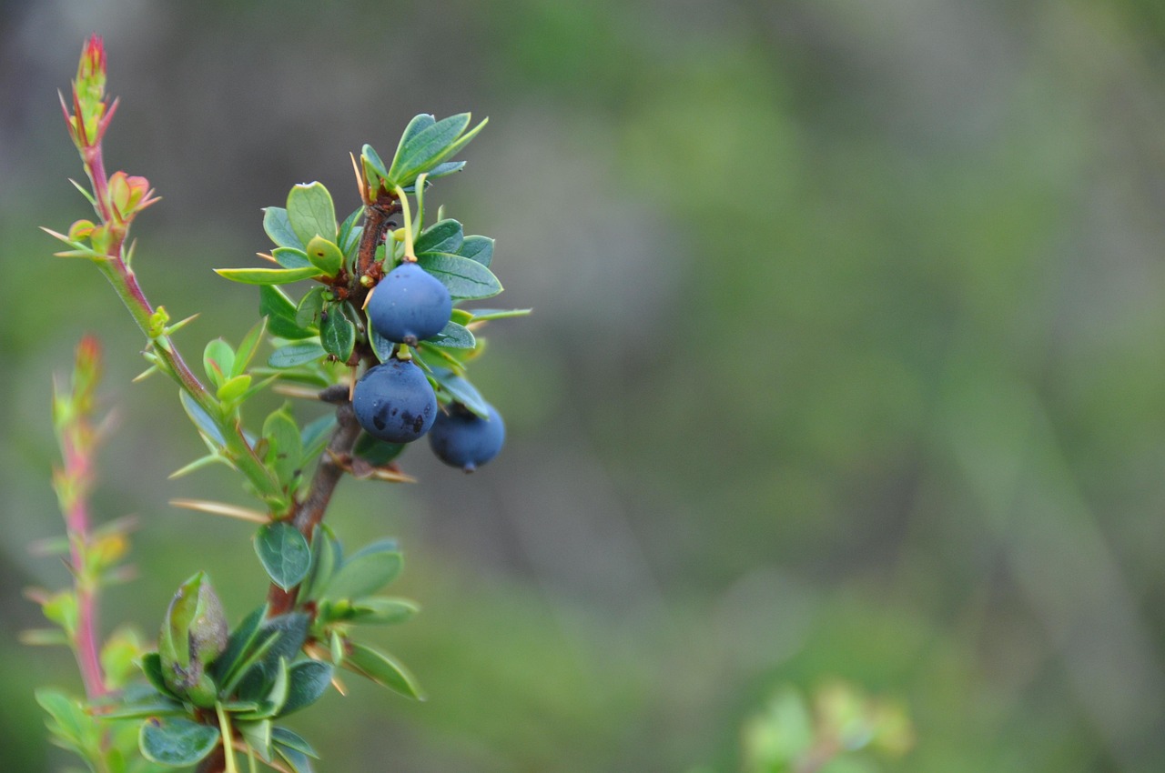 赵县环保局推动绿色可持续发展,共建美好生态环境新动态