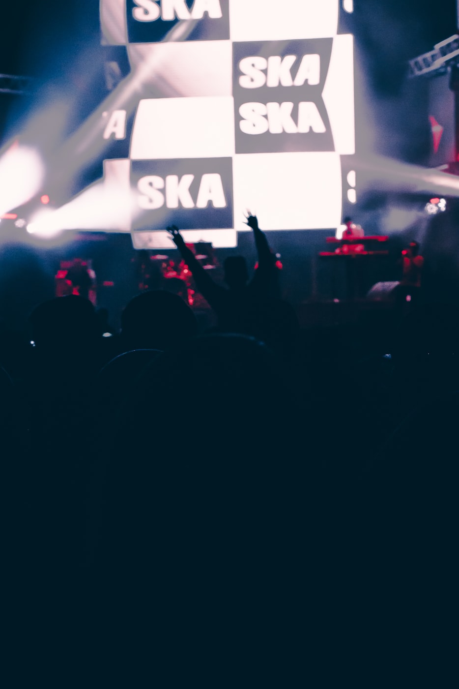 探索音乐的全新领域,最新蒲友音乐网资讯速递