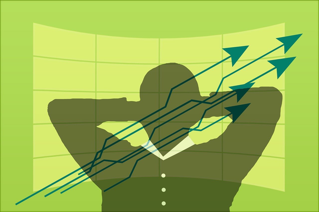 股票发行方式及其影响因素分析