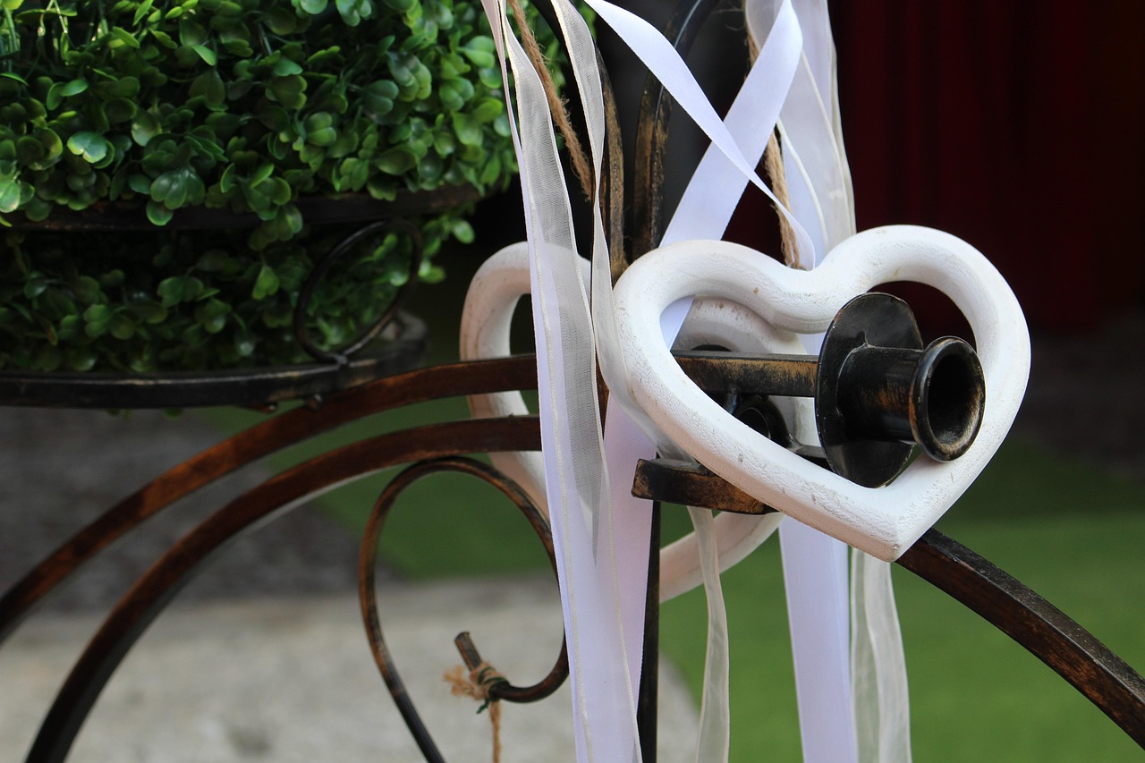 动漫之心,探寻动漫中的心脏象征意义之旅