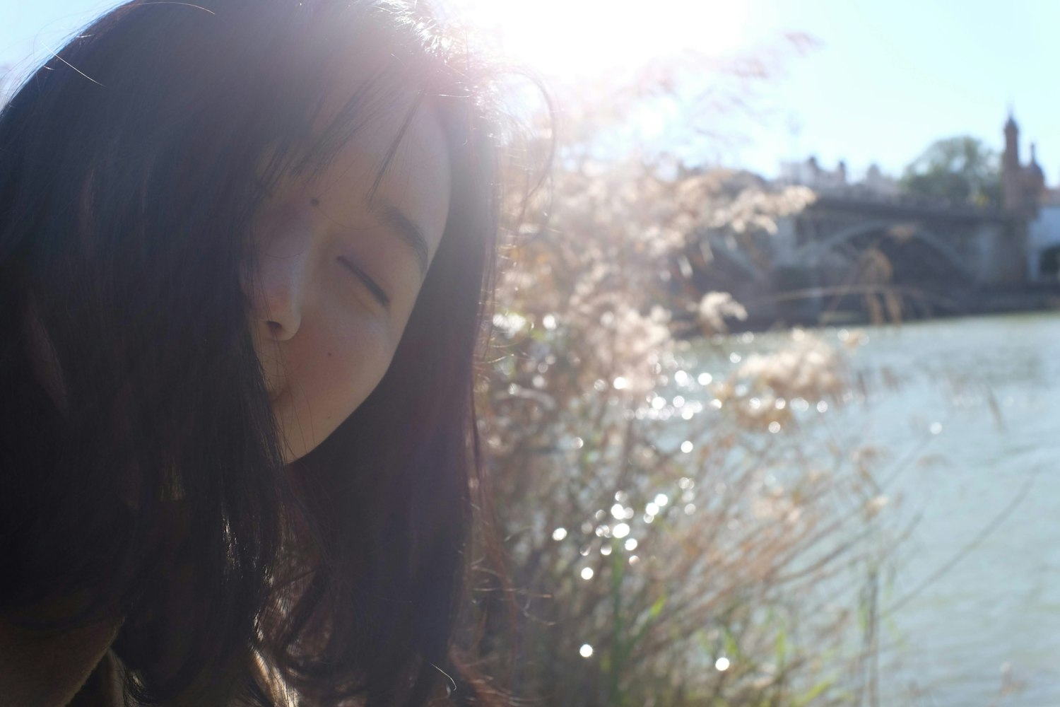 经典爱情电影推荐,感受甜蜜、苦涩、温暖与深情的旅程